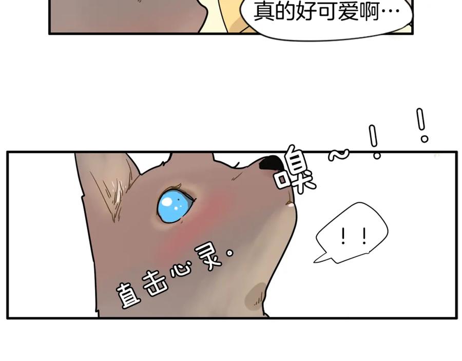 66.jpg