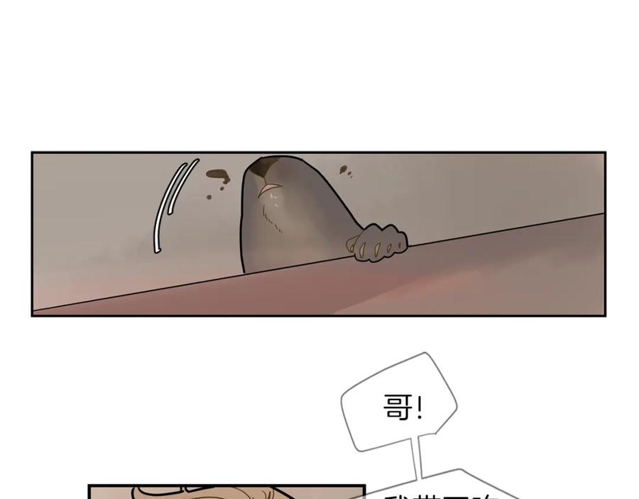 55.jpg