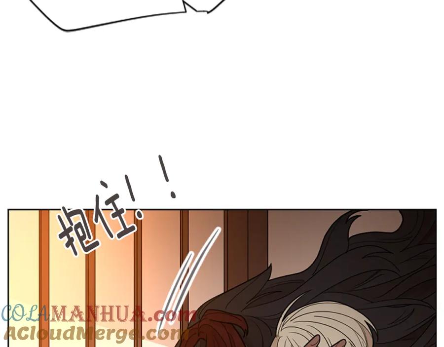 141.jpg