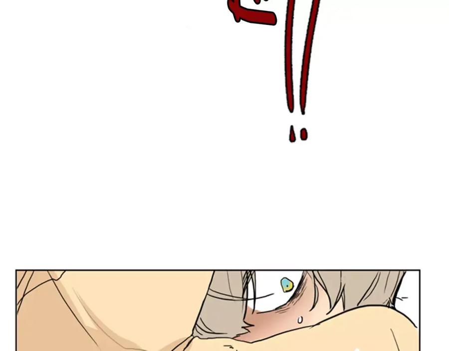 80.jpg