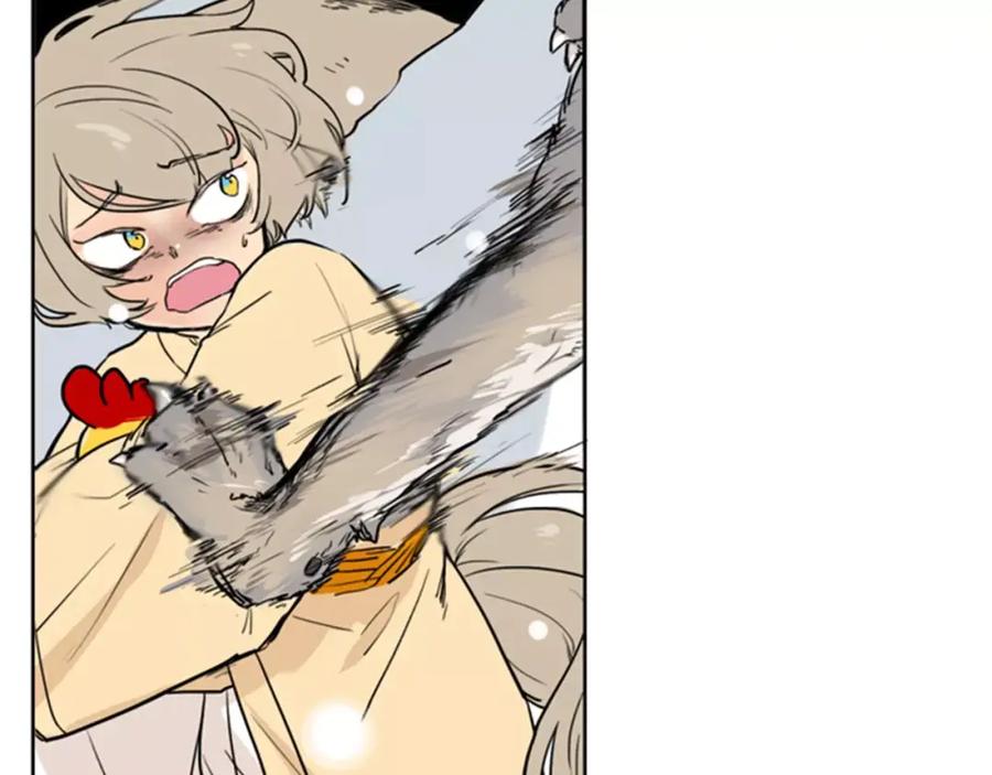 62.jpg