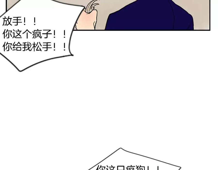 74.jpg