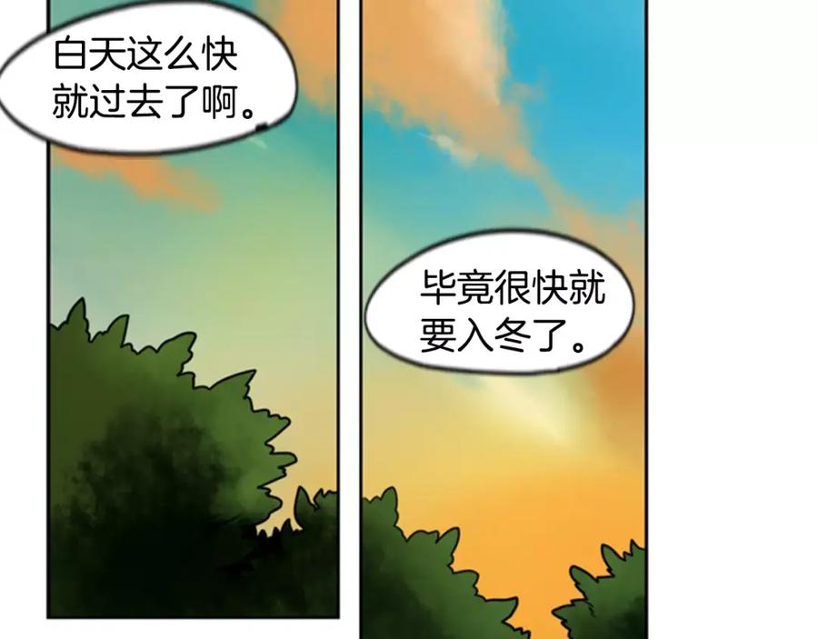 78.jpg