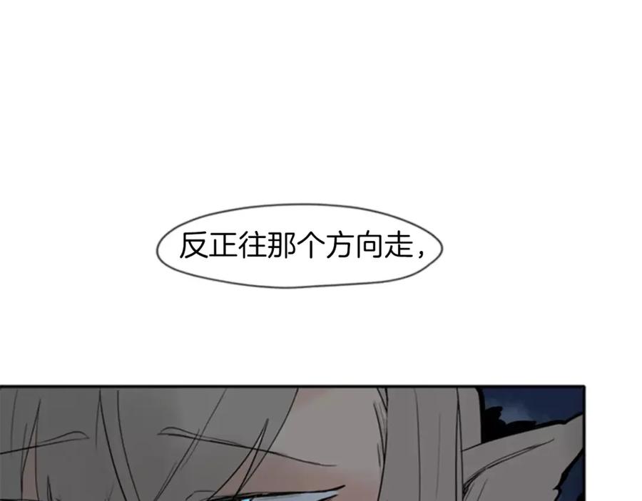 96.jpg