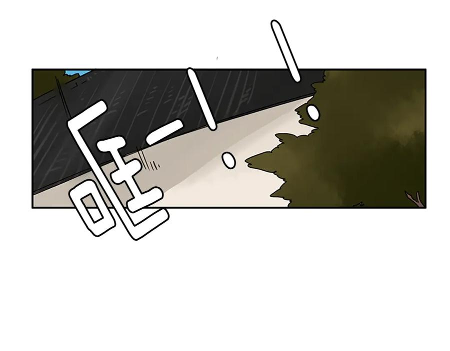 78.jpg