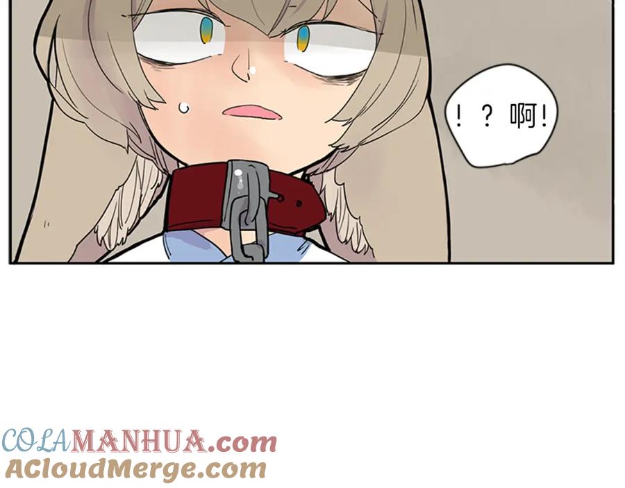 88.jpg