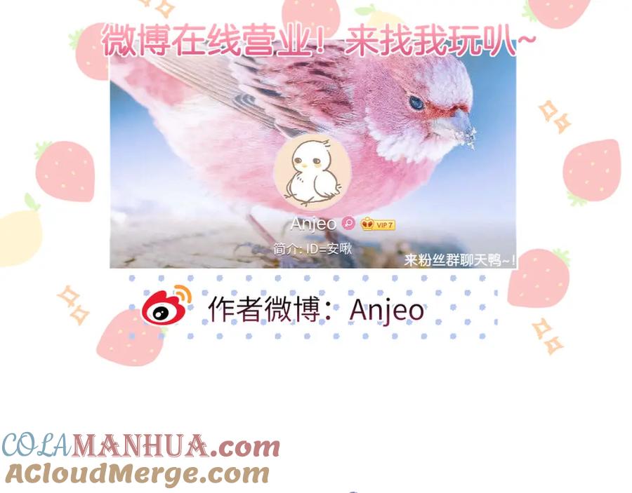 97.jpg