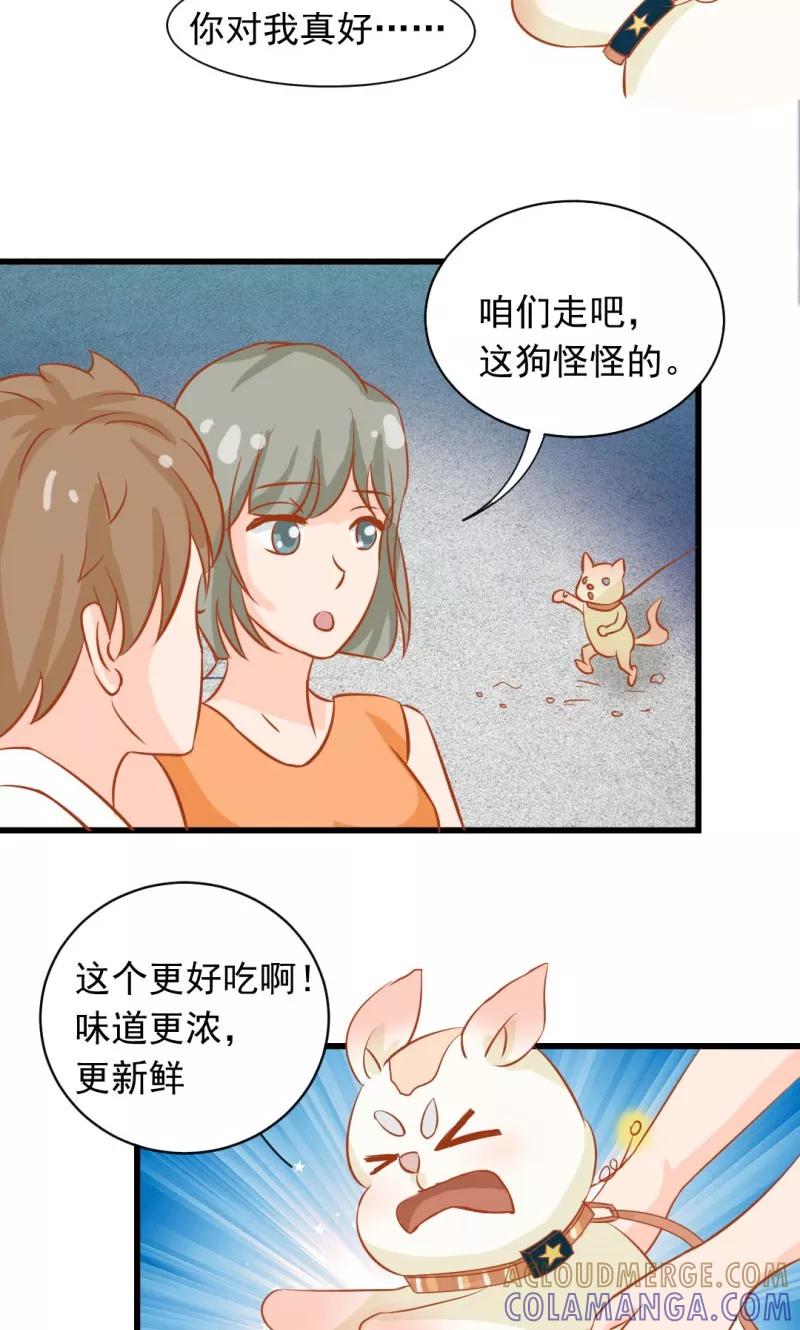 第12话-狗粮好吃-阿里文学（第7张）