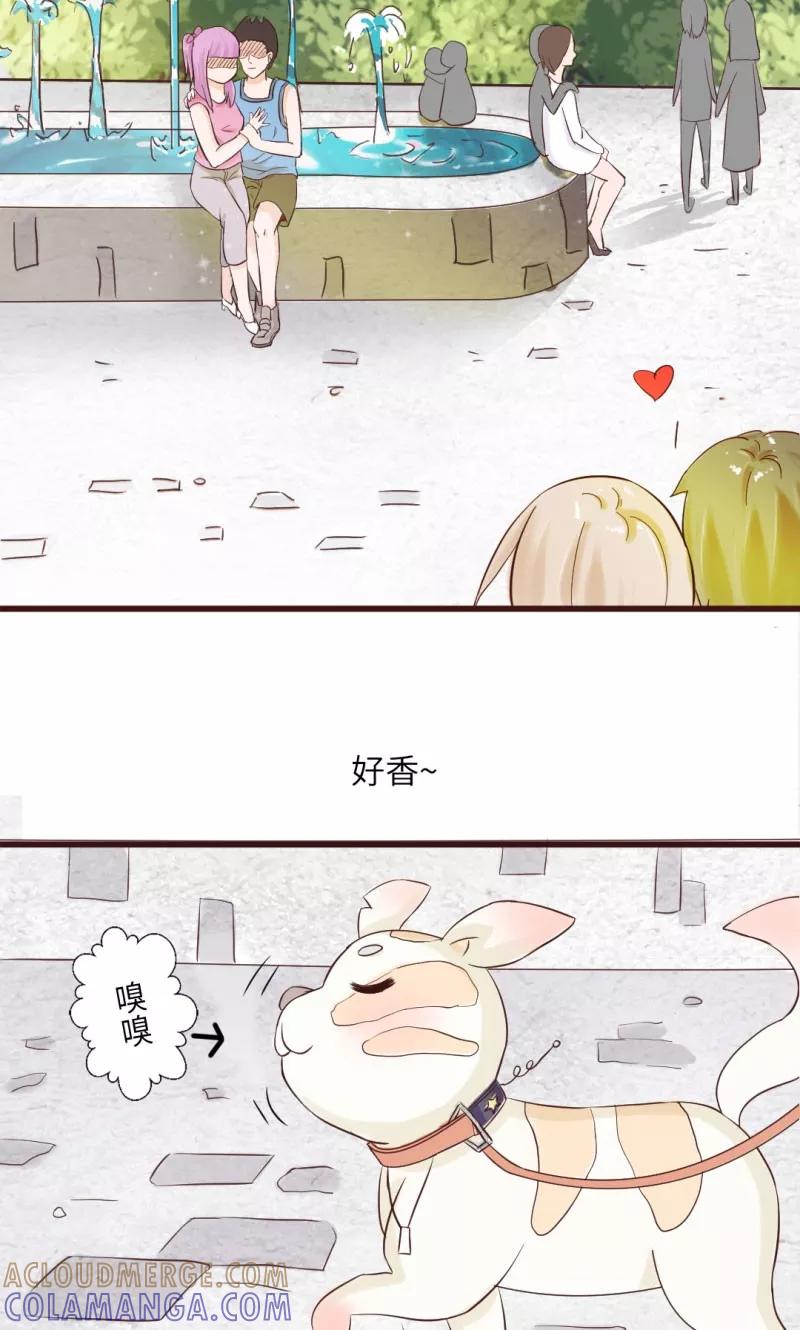 第13话-狗粮好吃-阿里文学（第5张）
