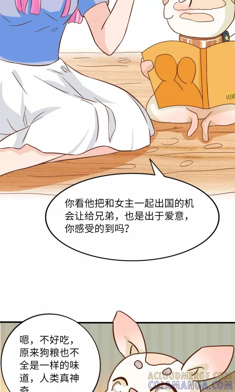 第15话-狗粮好吃-阿里文学（第15张）