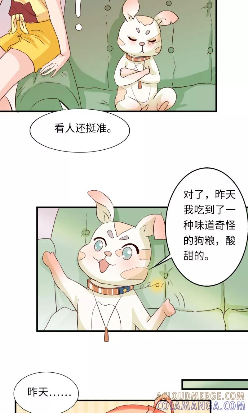 第15话-狗粮好吃-阿里文学（第5张）