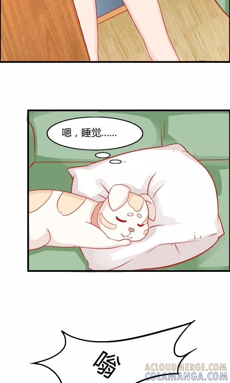 第9话-狗粮好吃-阿里文学（第5张）
