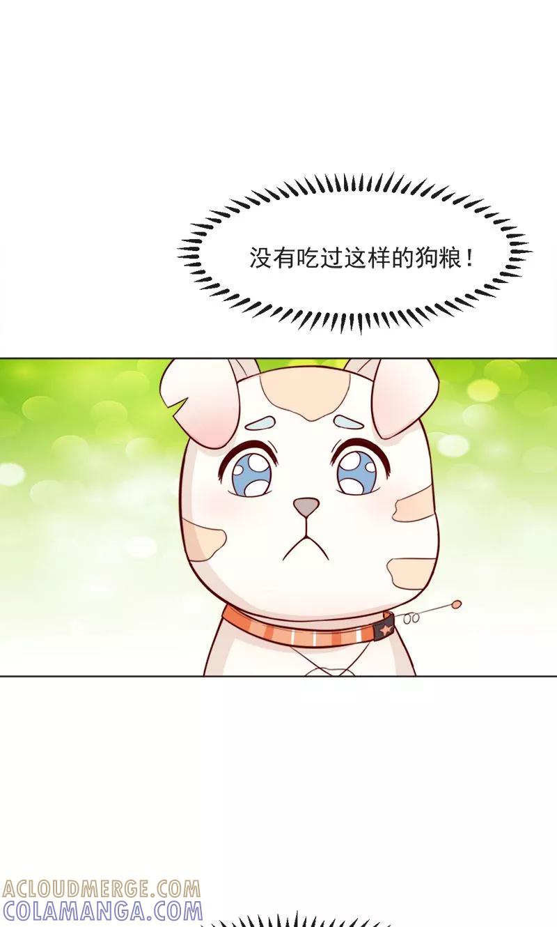 第30话-狗粮好吃-阿里文学（第15张）