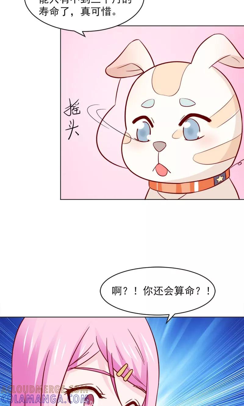 第30话-狗粮好吃-阿里文学（第23张）