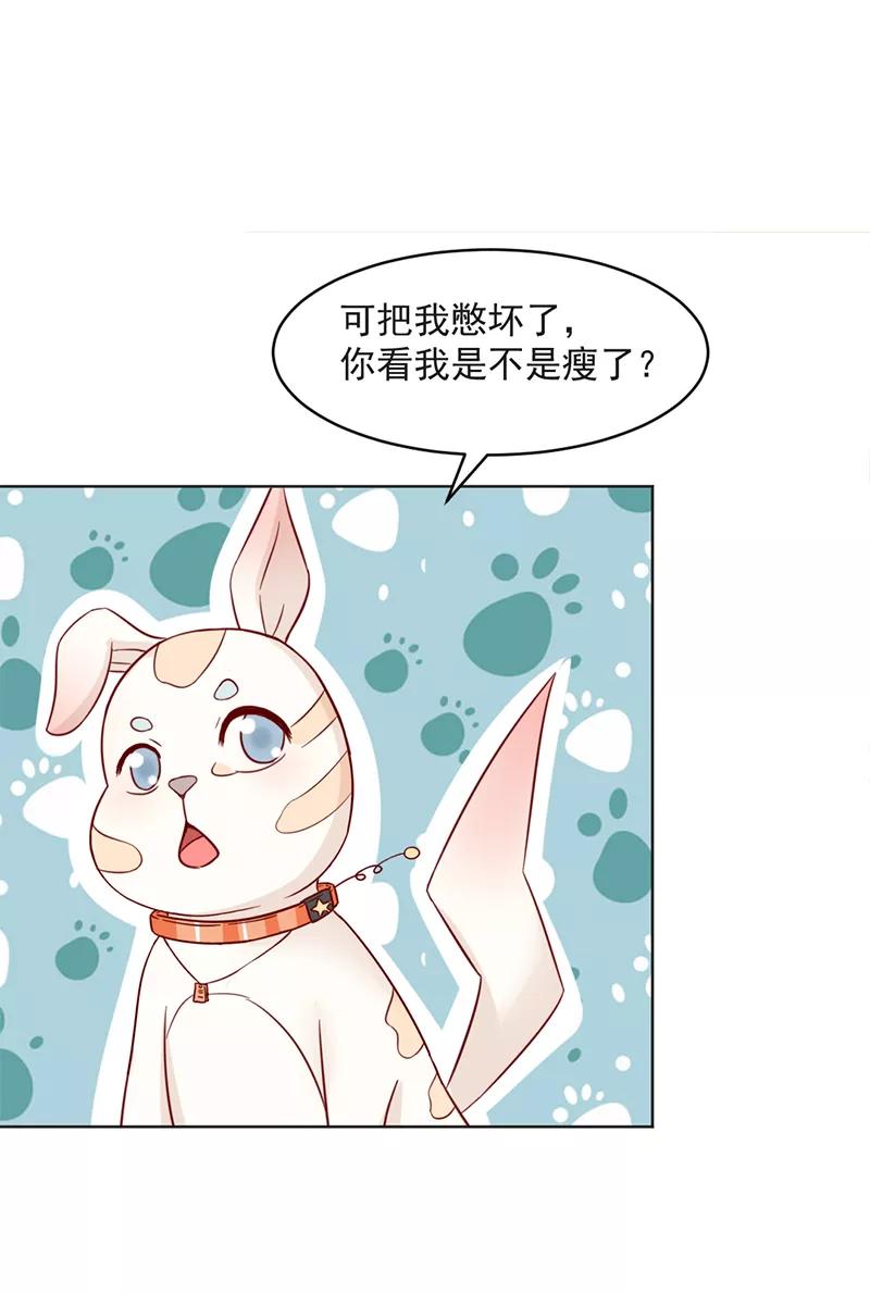 第31话-狗粮好吃-阿里文学（第2张）