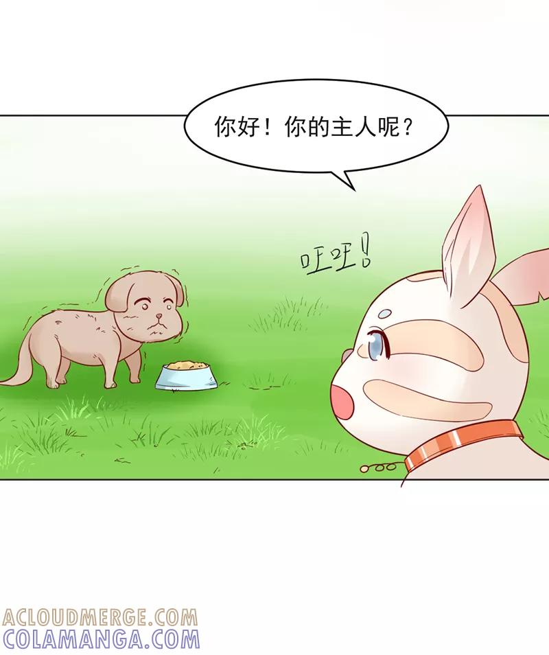 第31话-狗粮好吃-阿里文学（第7张）