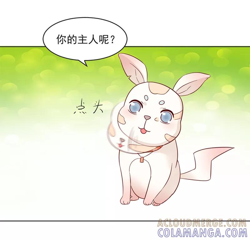 第31话-狗粮好吃-阿里文学（第11张）