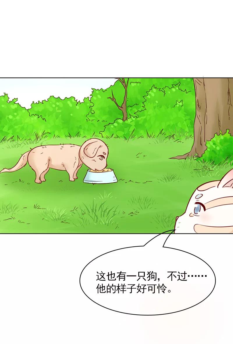 第31话-狗粮好吃-阿里文学（第6张）