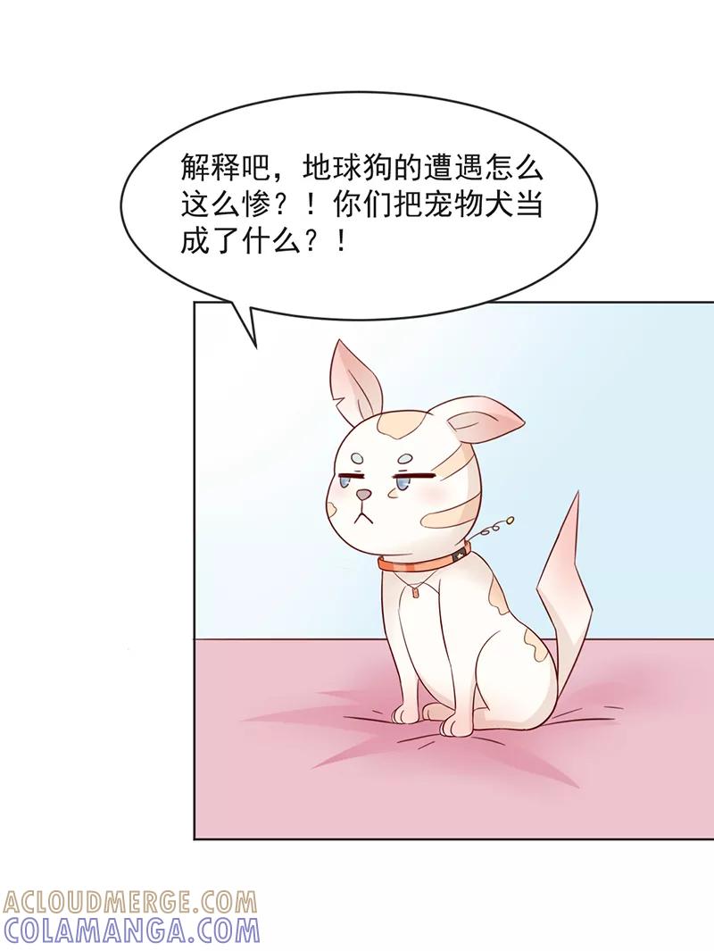 第31话-狗粮好吃-阿里文学（第17张）