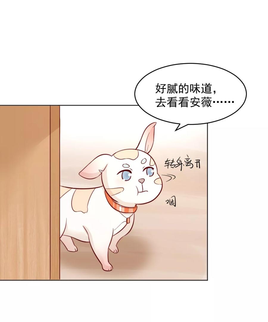 第32话-狗粮好吃-阿里文学（第14张）