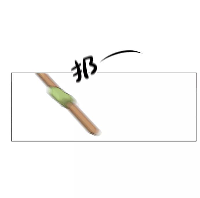 75.jpg