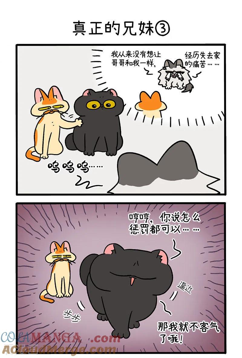 第49话1真正的兄妹-阿满和麦茶-新漫画 日胖大海寺（第5张）