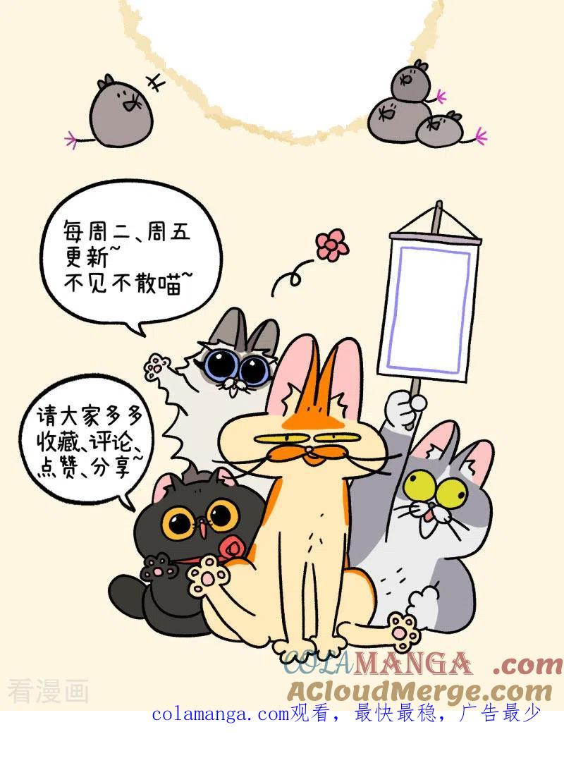 第49话1真正的兄妹-阿满和麦茶-新漫画 日胖大海寺（第8张）