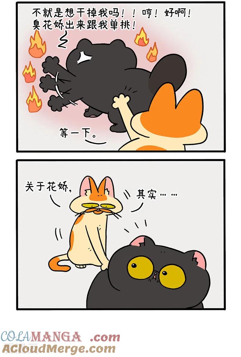 第49话1真正的兄妹-阿满和麦茶-新漫画 日胖大海寺（第2张）