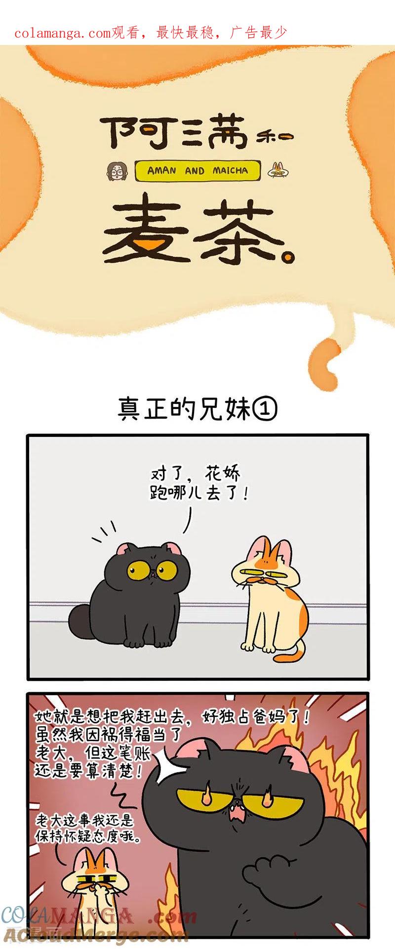 第49话1真正的兄妹-阿满和麦茶-新漫画 日胖大海寺（第1张）