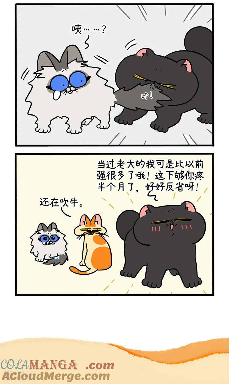第49话1真正的兄妹-阿满和麦茶-新漫画 日胖大海寺（第6张）