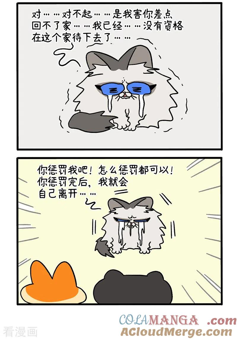 第49话1真正的兄妹-阿满和麦茶-新漫画 日胖大海寺（第4张）