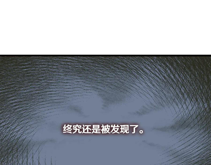 203.jpg