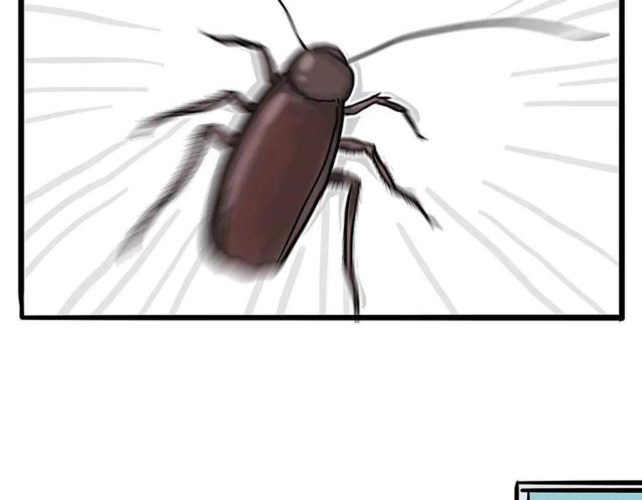 50.jpg