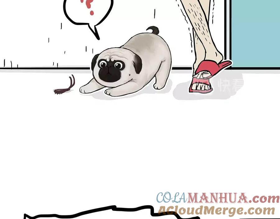 52.jpg