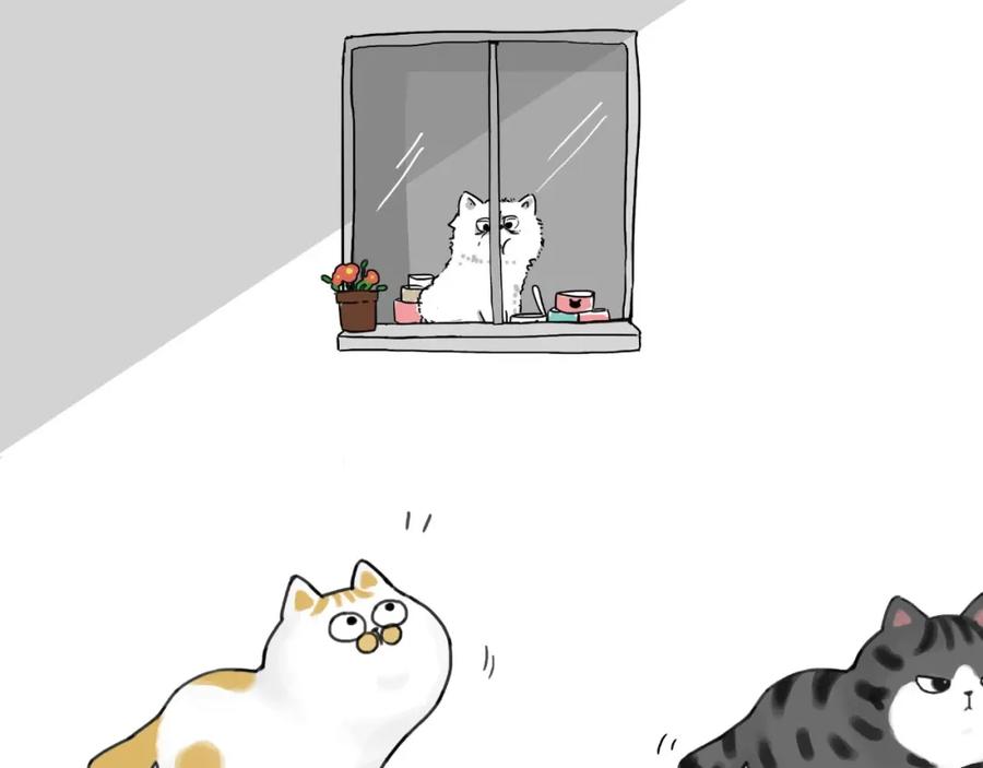 35.jpg