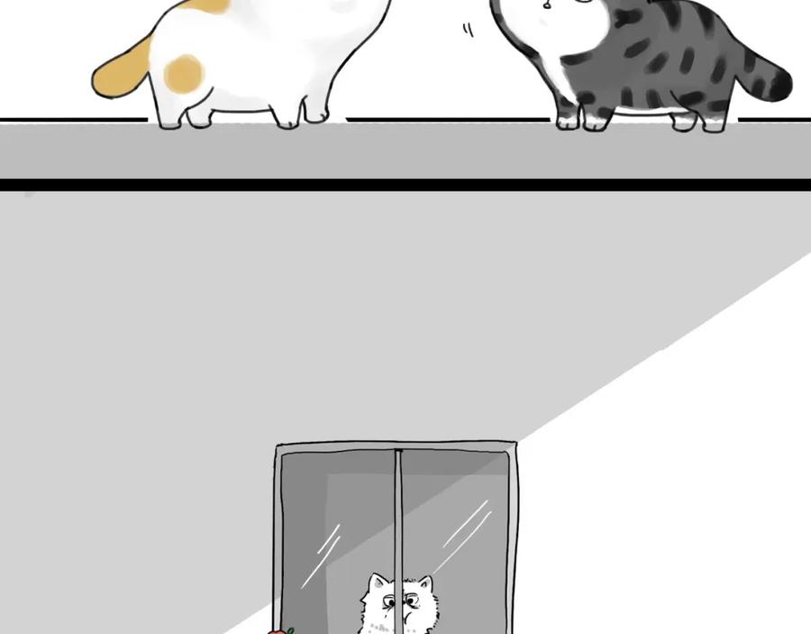 41.jpg