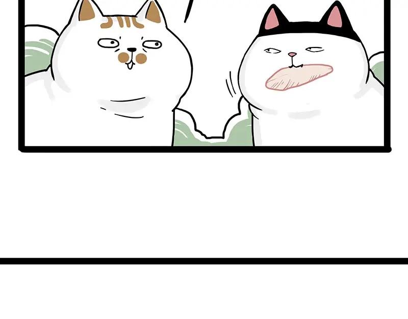 44.jpg