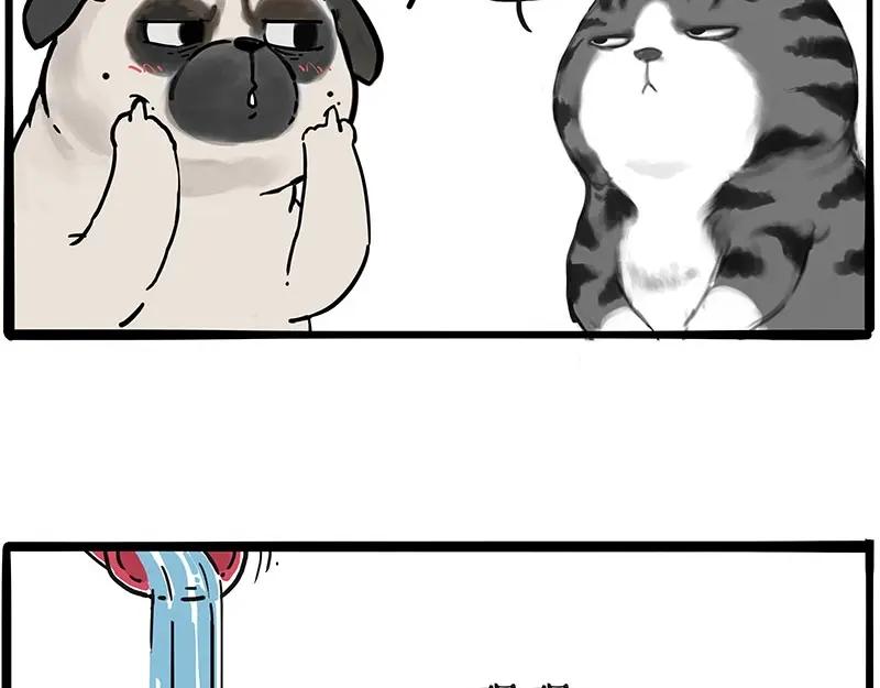 44.jpg