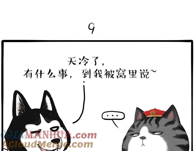 49.jpg