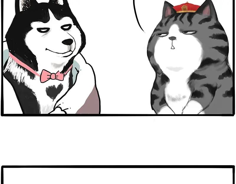 51.jpg