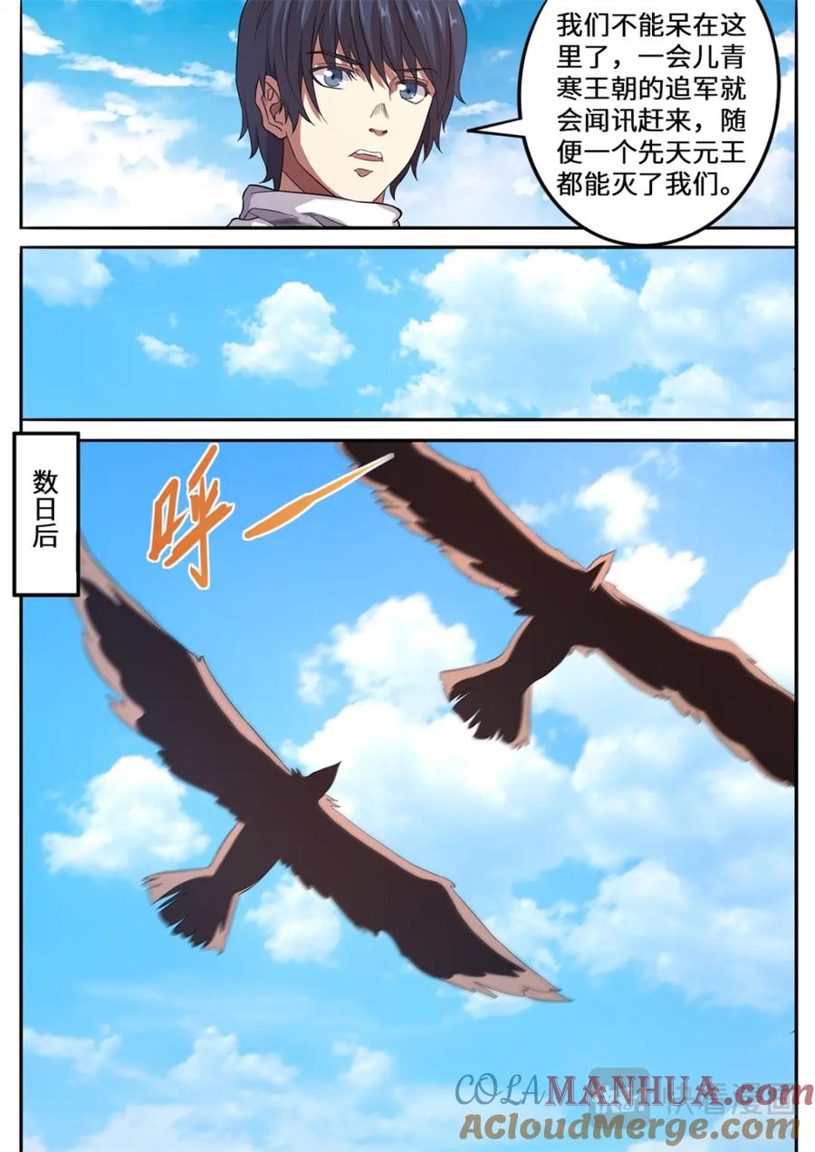 5.jpg