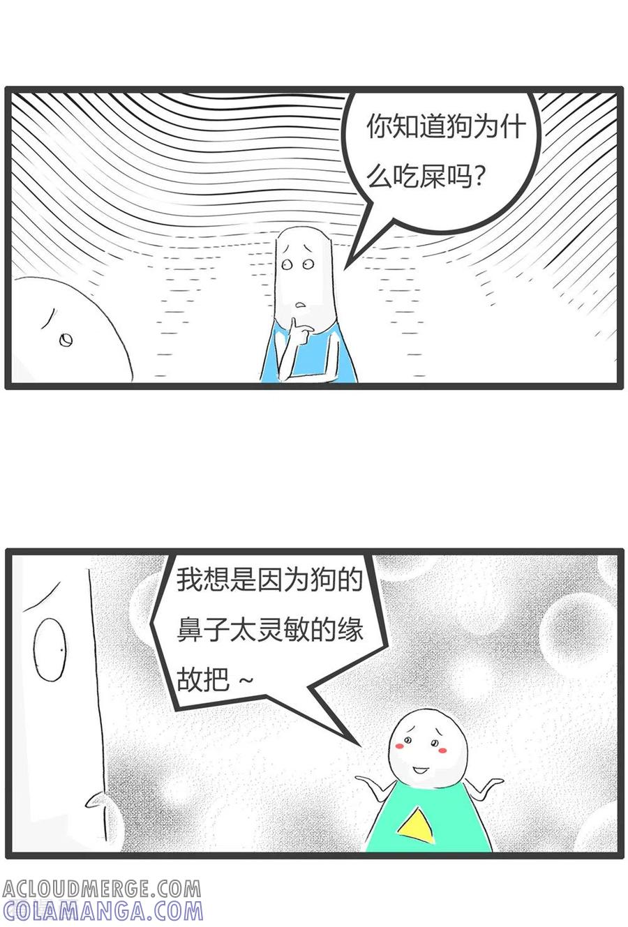 第328话可怜的狗-火锅家族第三季-钟博士（第3张）