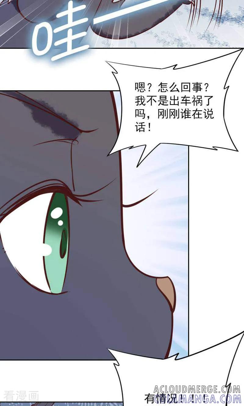 第89话-以猫的名义爱上你-咪咕数媒（第17张）