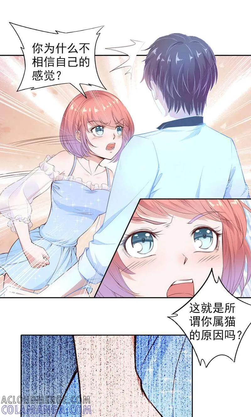 第90话-以猫的名义爱上你-咪咕数媒（第19张）
