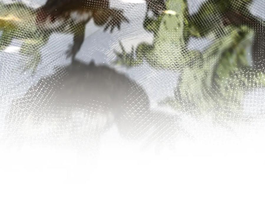 118.jpg