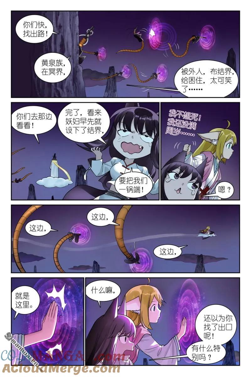 11.jpg