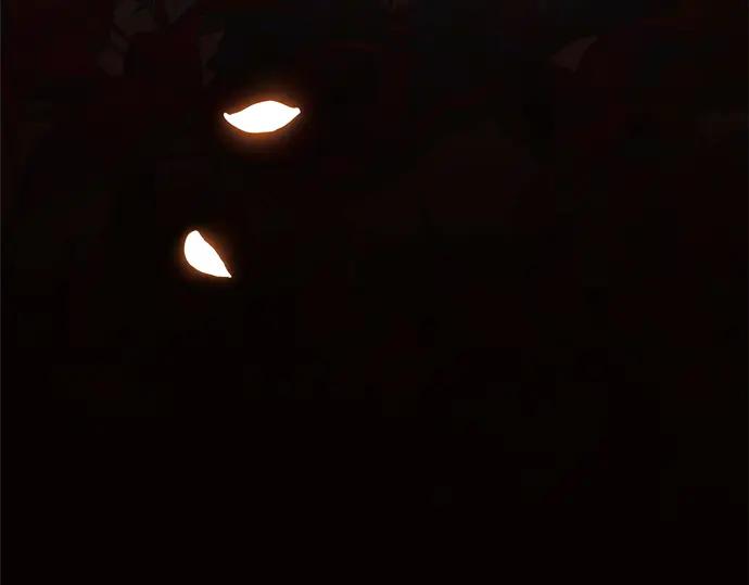 159.jpg