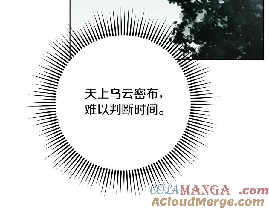97.jpg