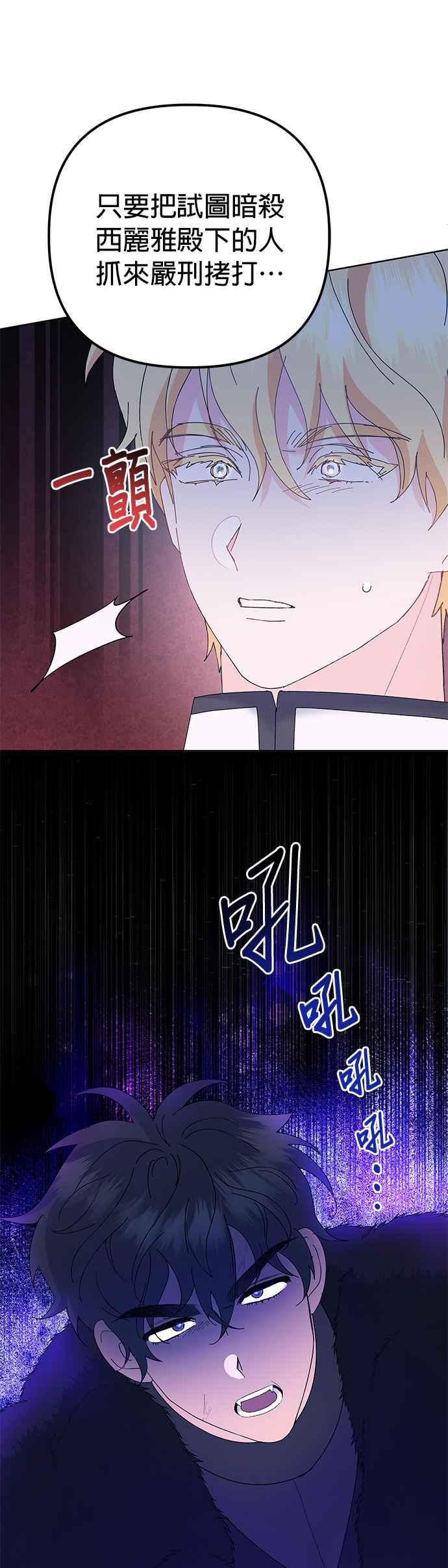 41.jpg