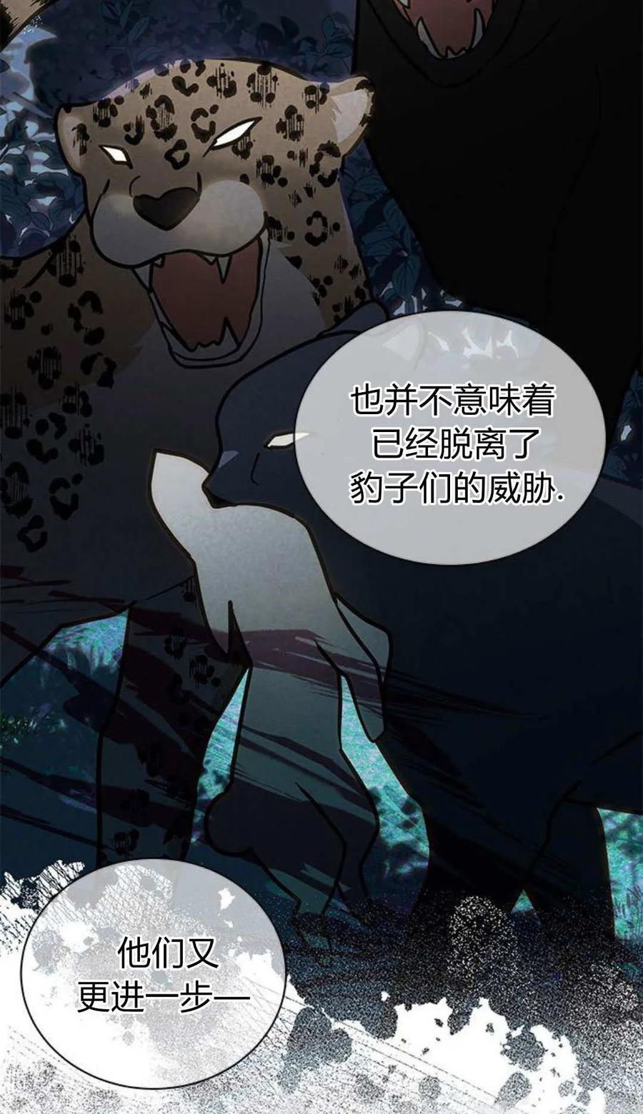 第62话-明明是猫，却被狼族收养了？-노찬주（第24张）